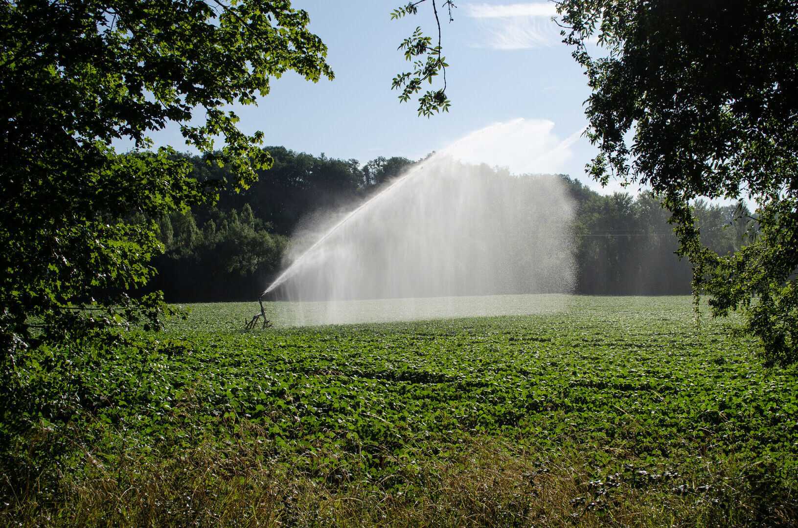 Water is collectief, droogte ook (deel I)