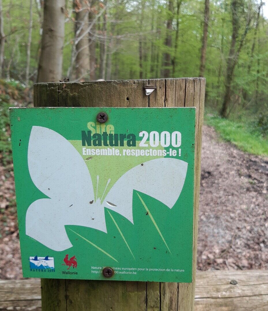 Natura 2000 en de Europese Natuurherstelwet