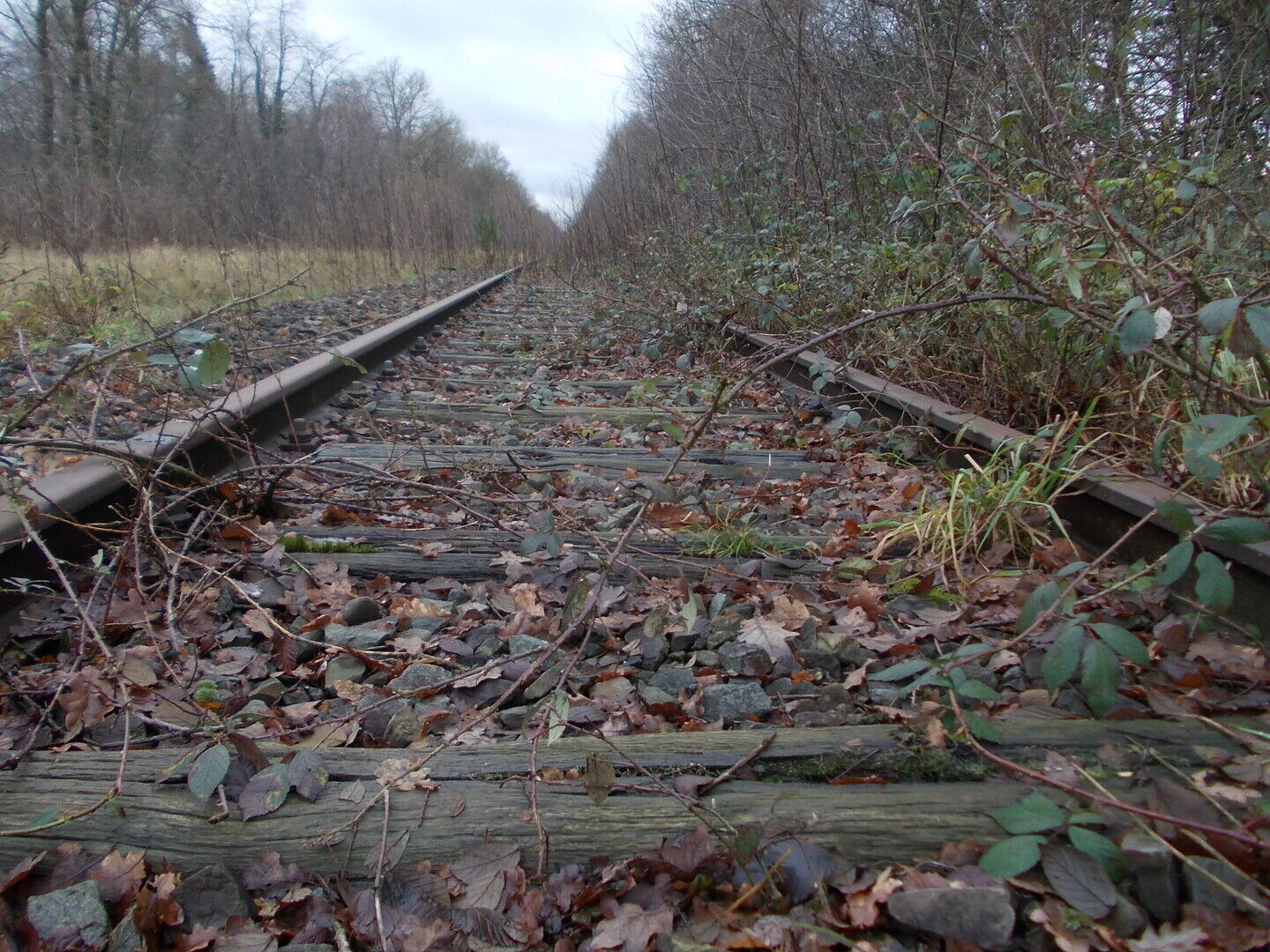 Groot Mobiliteitsdebat: Limburg op het goede spoor?