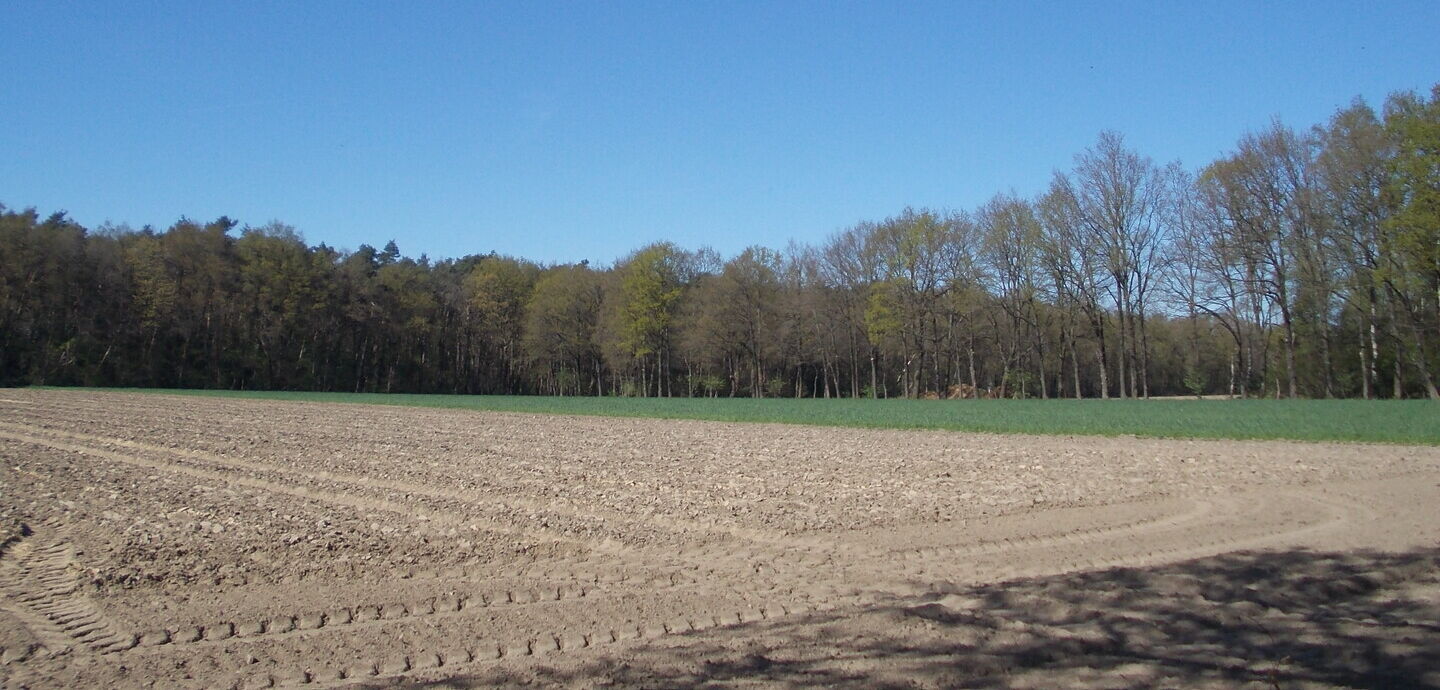 Stikstofakkoord belangrijke eerste stap naar natuurherstel maar zet landbouw niet op duurzaam spoor