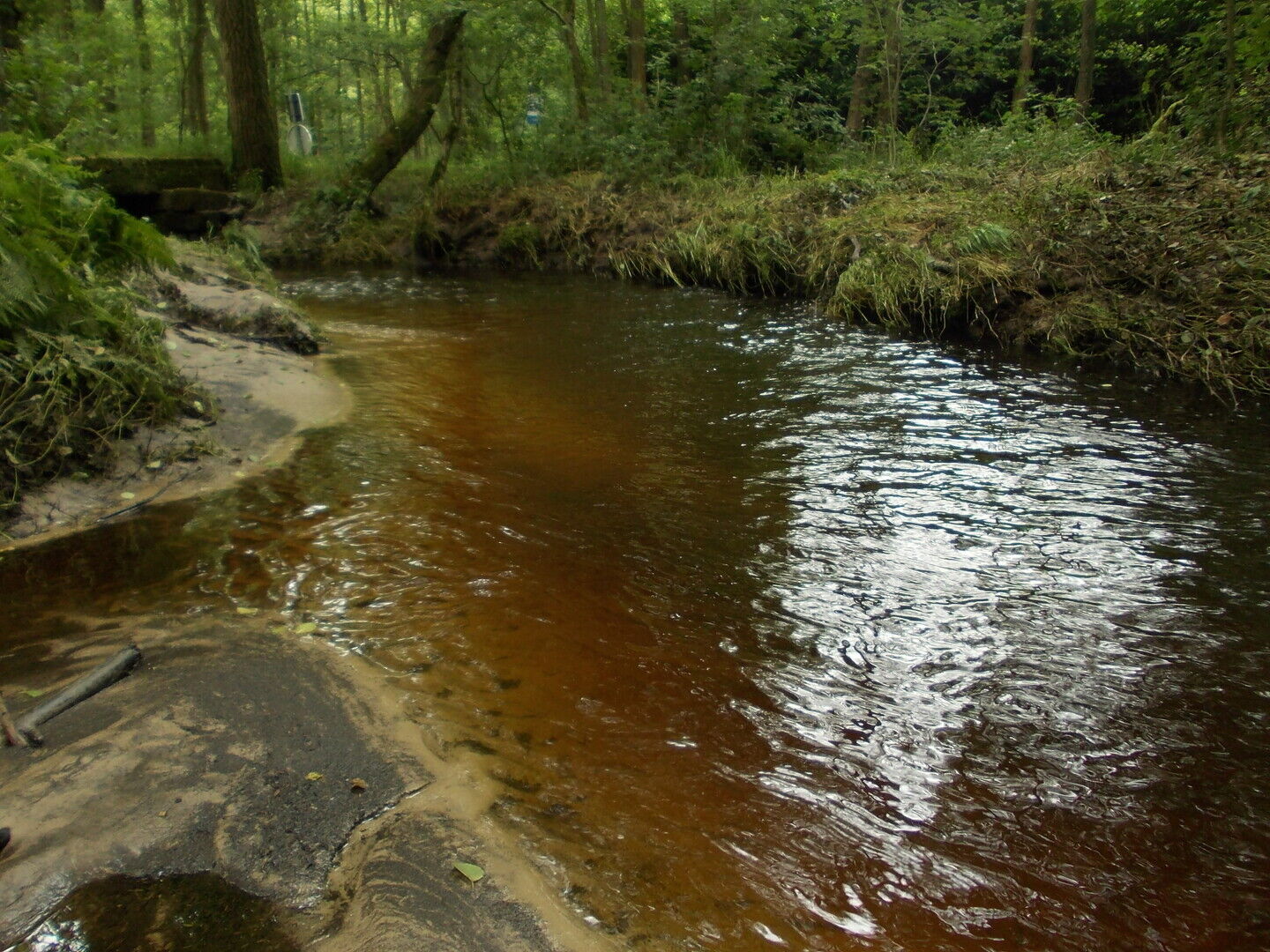 Online infosessie - Watervriendelijke tuin: opvang en hergebruik - Geannuleerd