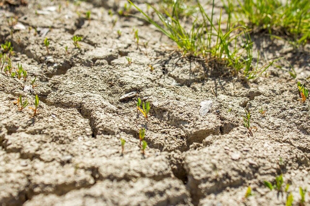 Water is collectief, droogte ook (deel II)