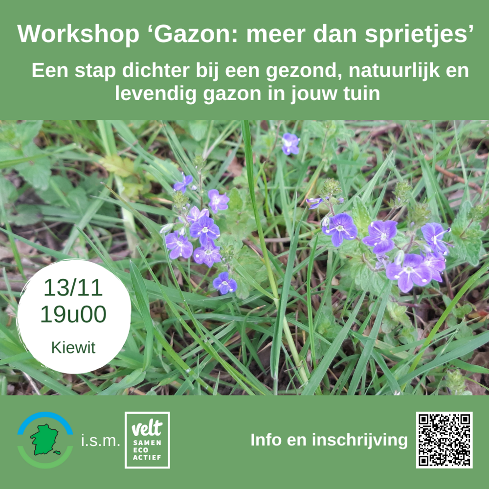 Workshop - Gazon: meer dan sprietjes