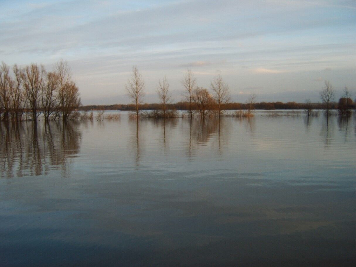 Wateroverlast - Als het water je aan de lippen staat