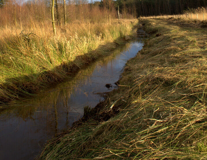 Waterbeleid moet beter!