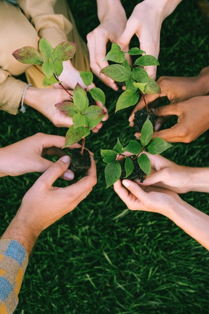 Geannuleerd - Workshop: Duurzaam verenigen