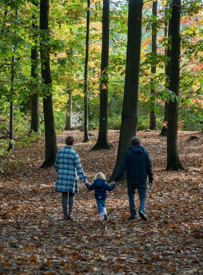 Plant een boom, speciaal voor Lucie, in Houthalen - VOLZET