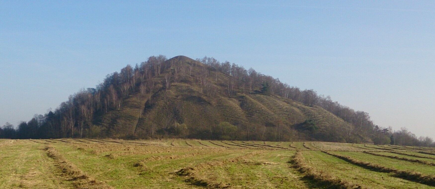 Wandeling: De schatkamer van de Zwarte Berg - Houthalen-Helchteren